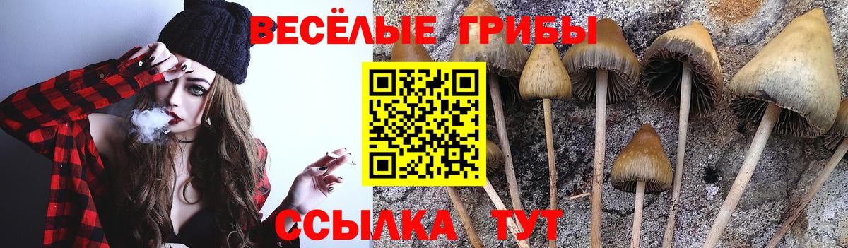 Галлюциногенные грибы Cubensis  Вход с VPN  наркошоп  Касимов  Галлюциногенные грибы Cubensis 